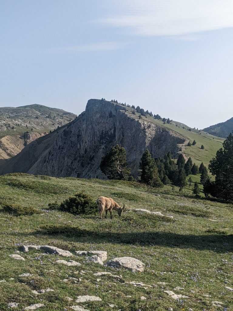 Bivouac dans les parcs nationaux en France