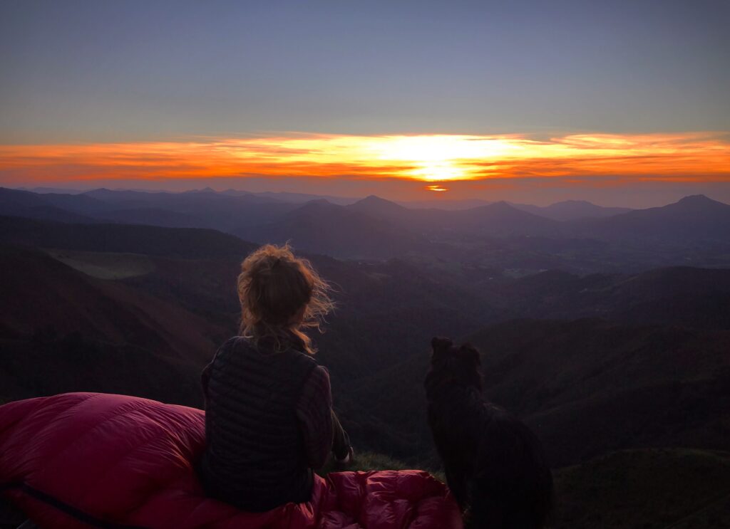 Randonner avec son chien : nos conseils pratiques