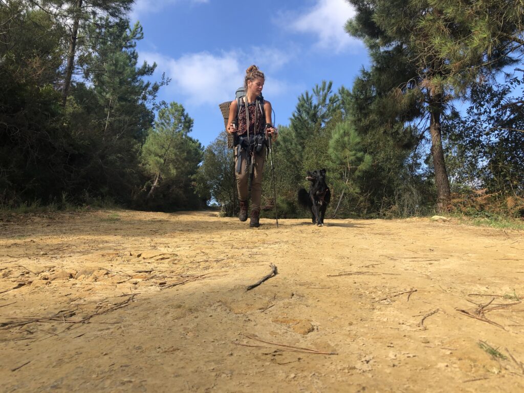 Randonner avec son chien : nos conseils pratiques