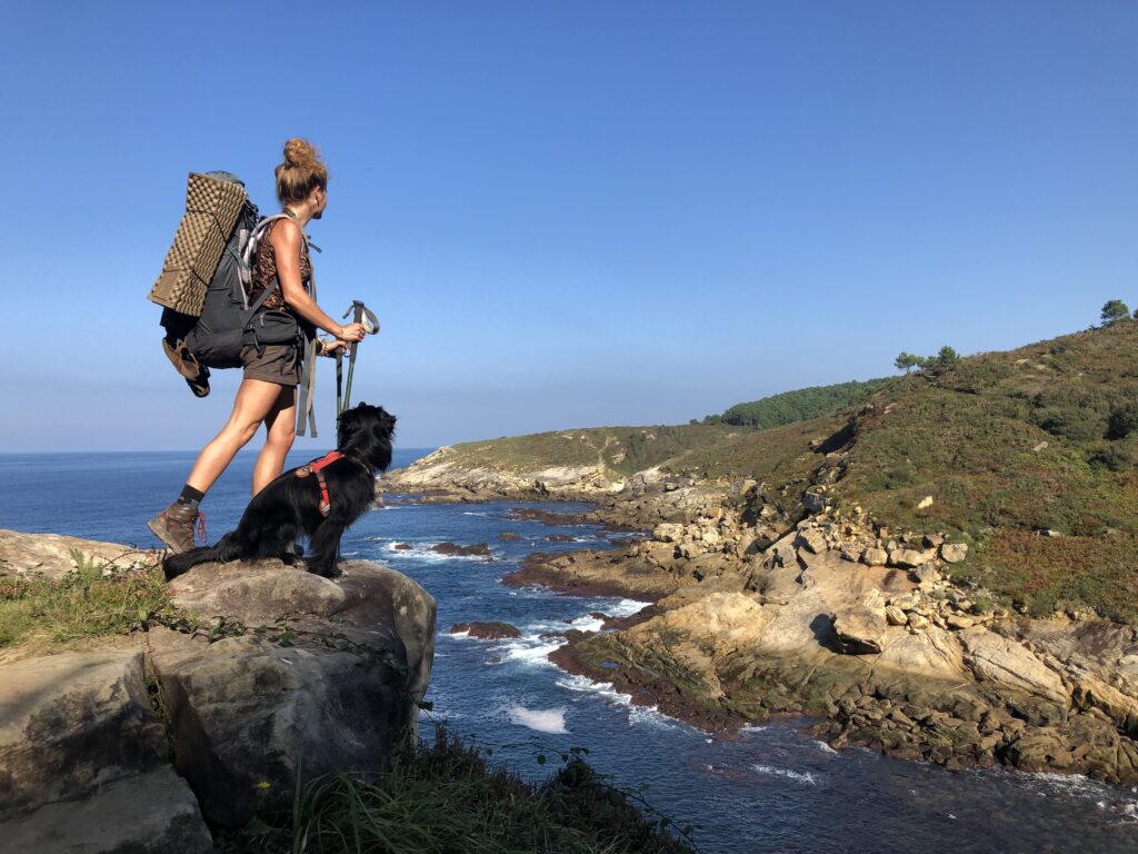 Randonner avec son chien : nos conseils pratiques