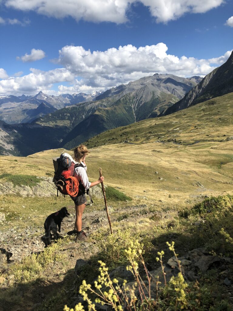 Randonner avec son chien : nos conseils pratiques