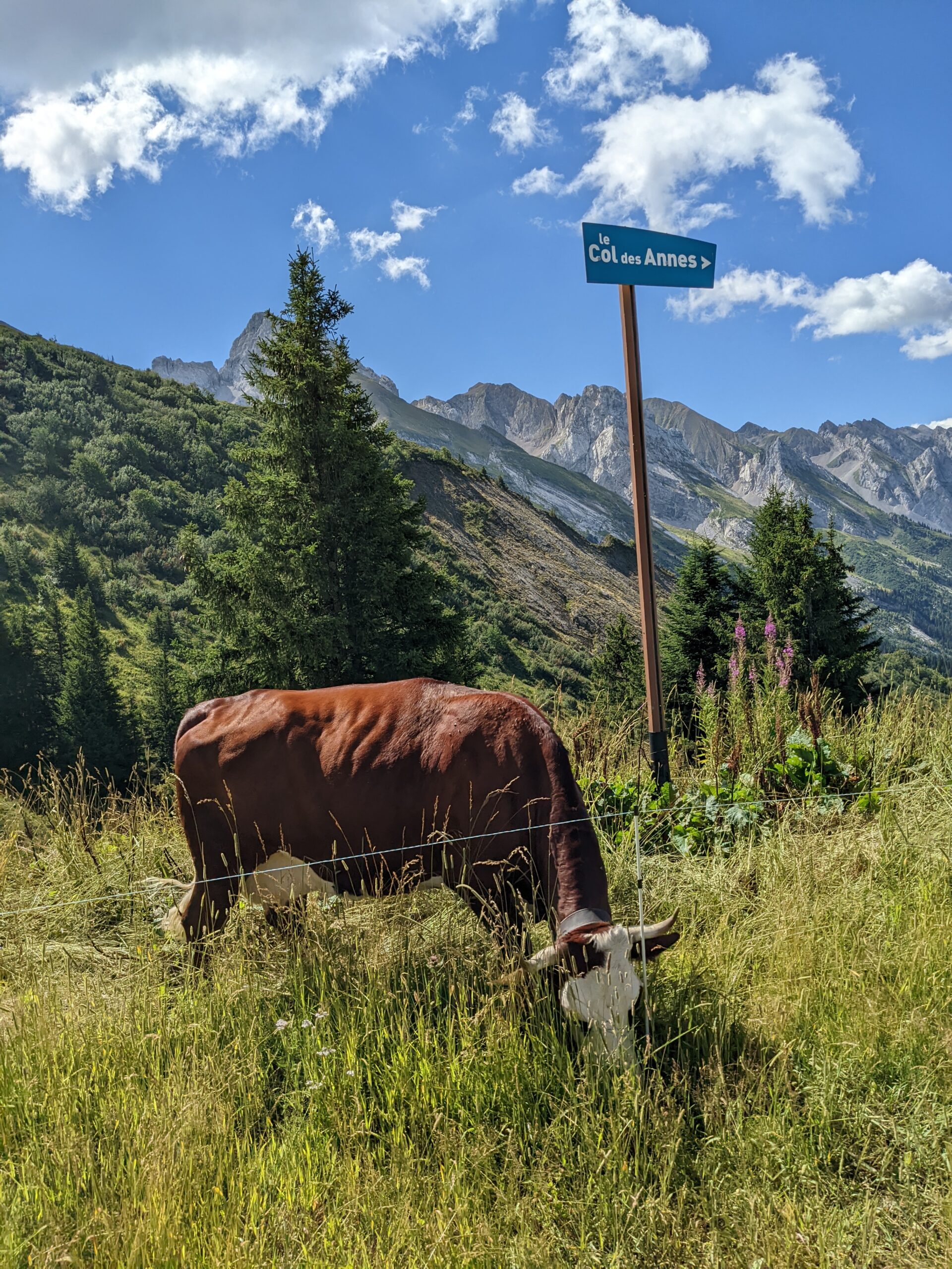 3 jours de randonnée-bivouac dans les Aravis