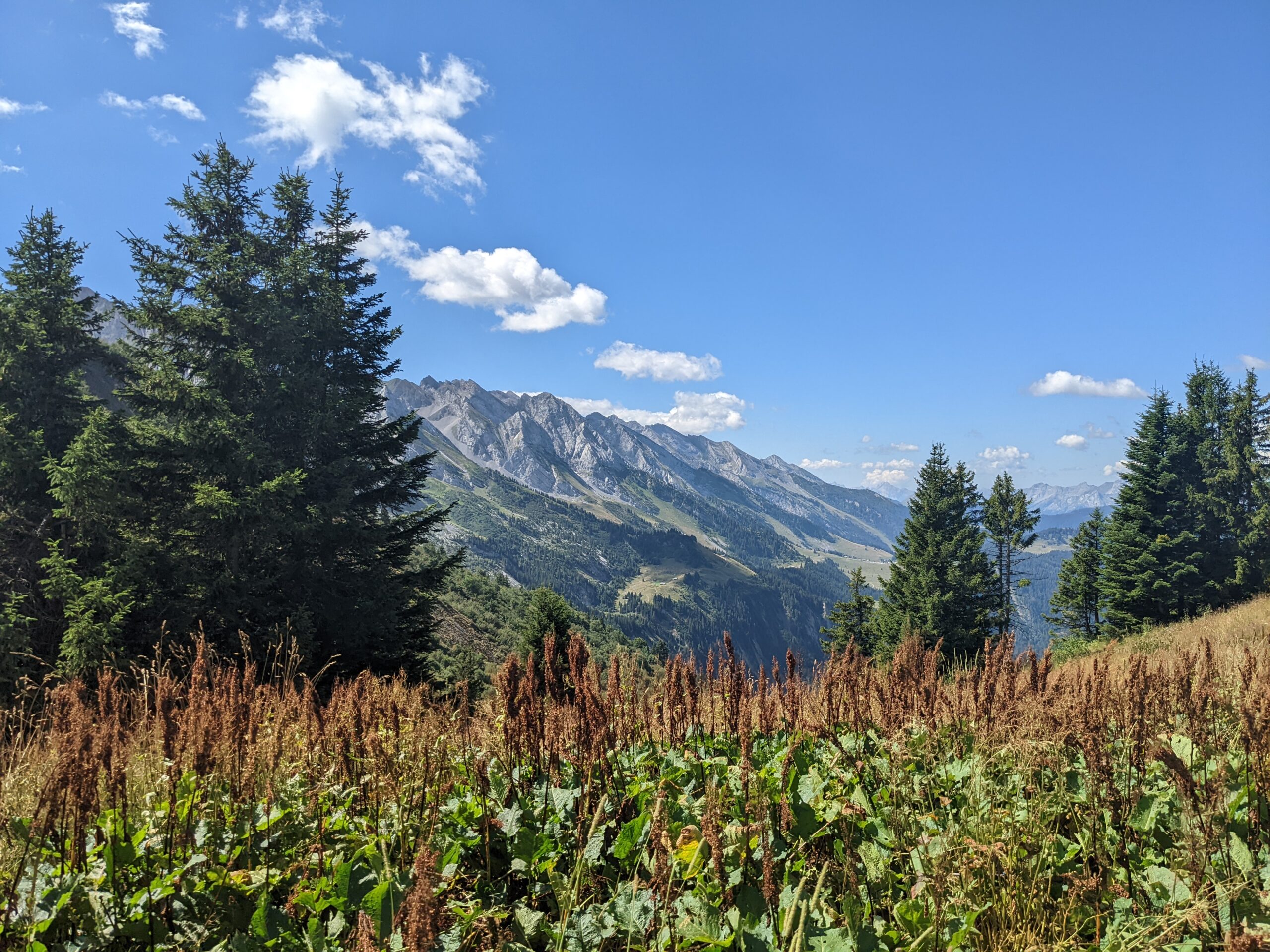 3 jours de randonnée-bivouac dans les Aravis
