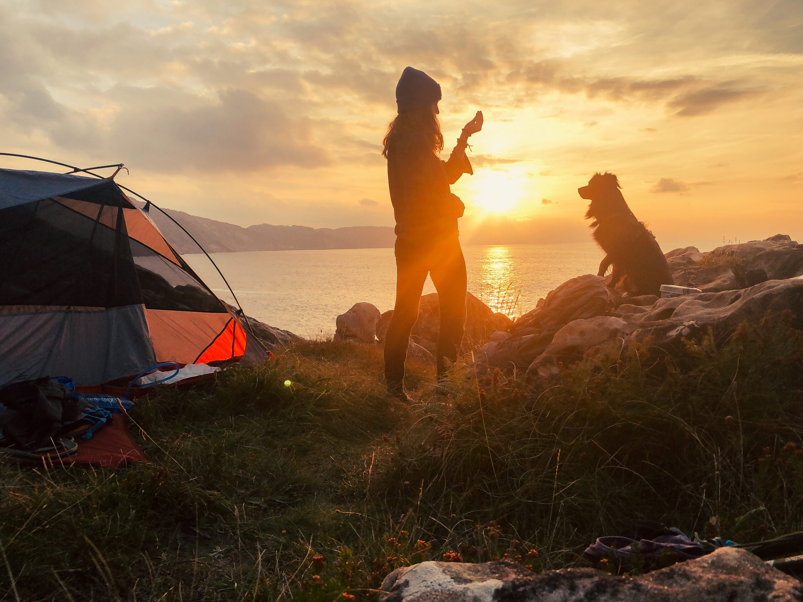 Randonner avec son chien : nos conseils pratiques