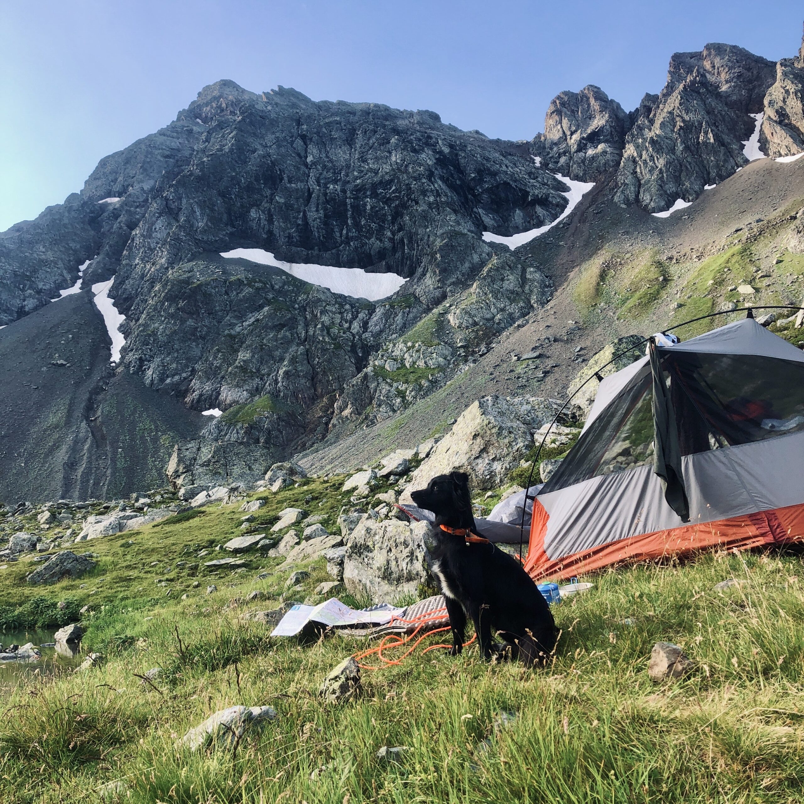 Randonner avec son chien : nos conseils pratiques