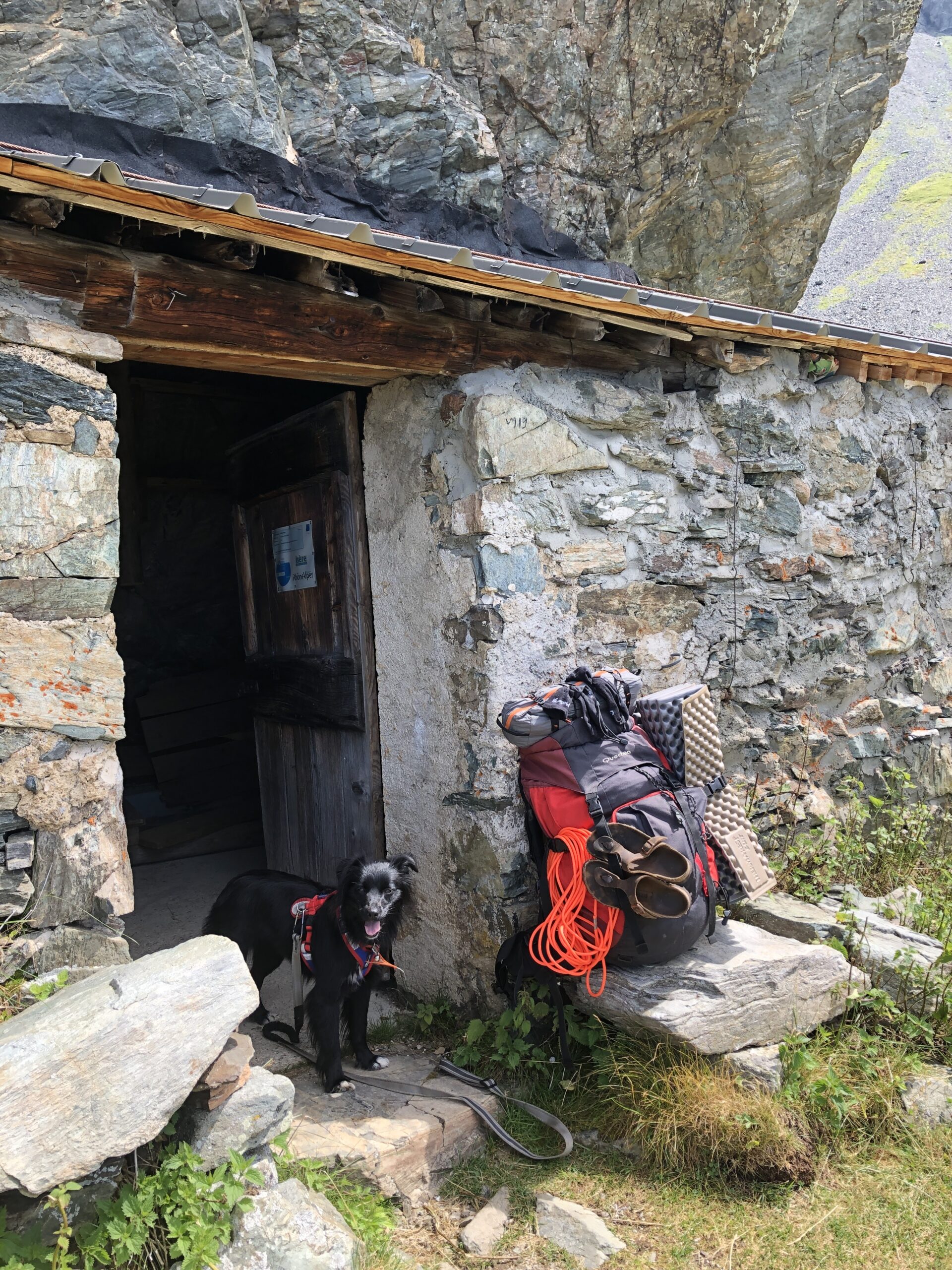 Randonner avec son chien : nos conseils pratiques