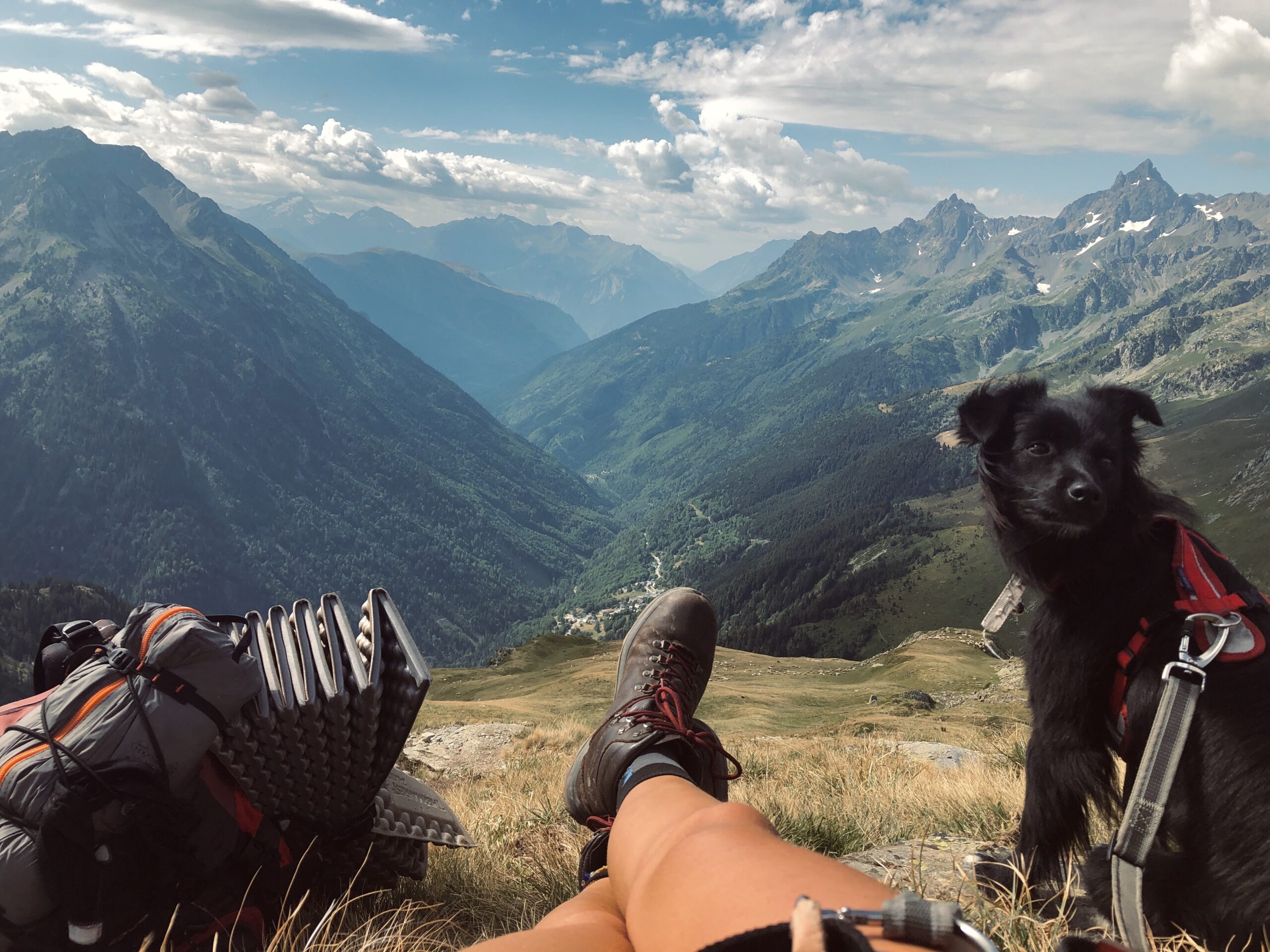Randonner avec son chien : nos conseils pratiques