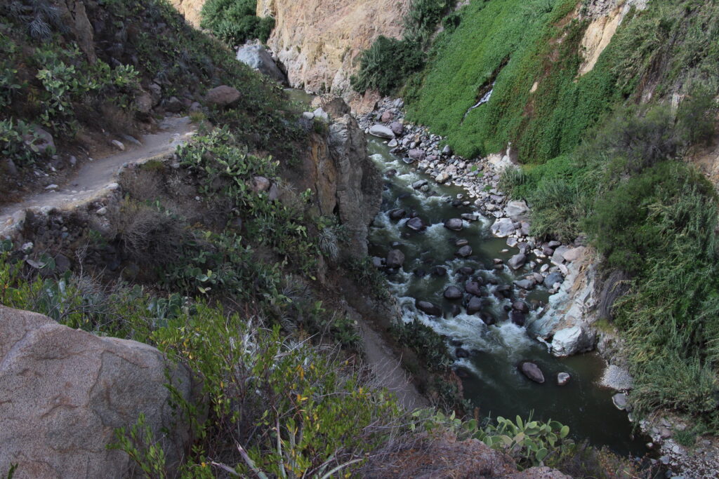 Trek du canyon de Colca en 2 jours : récit, étapes et conseils