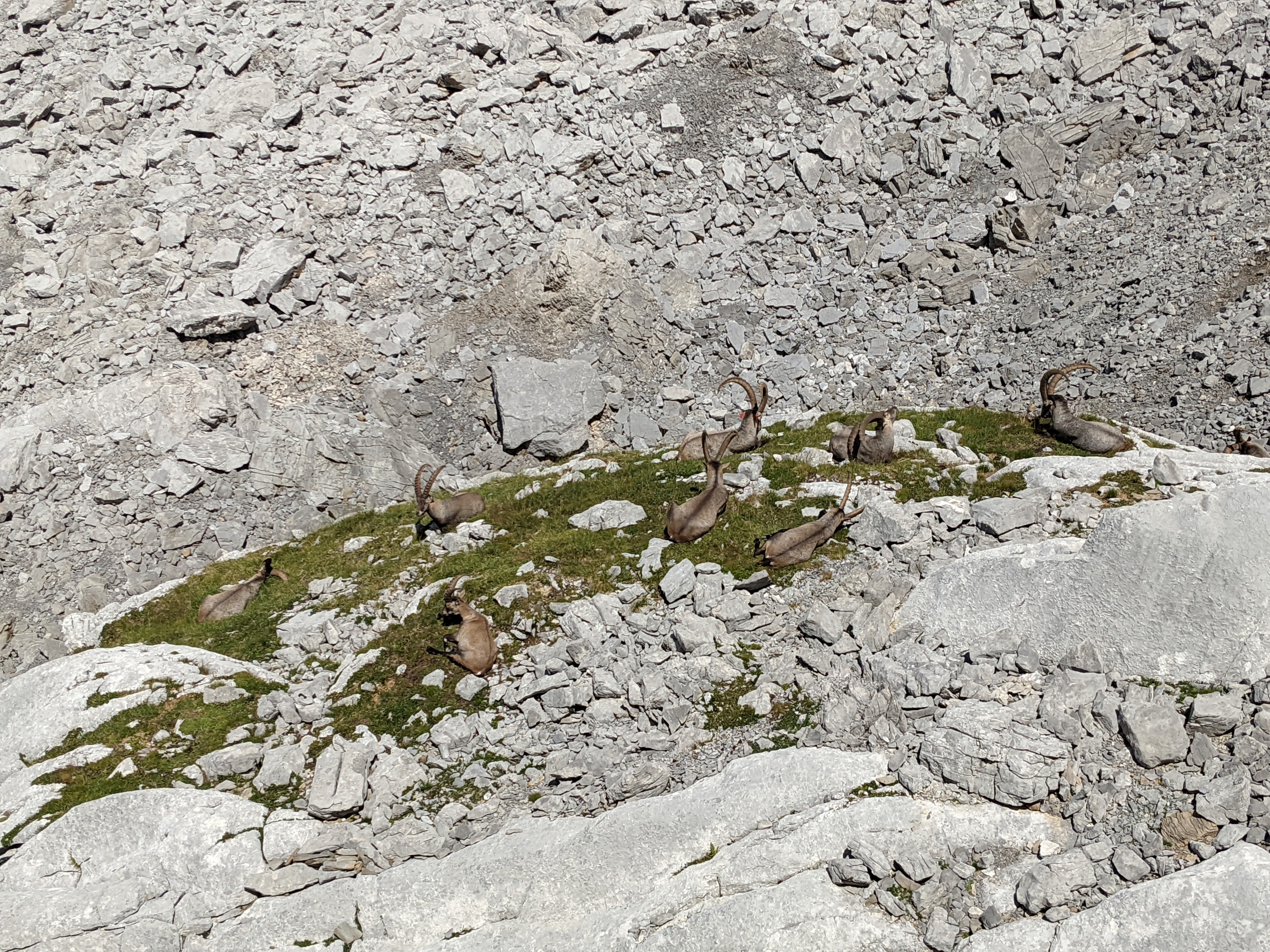 3 jours de randonnée-bivouac dans les Aravis