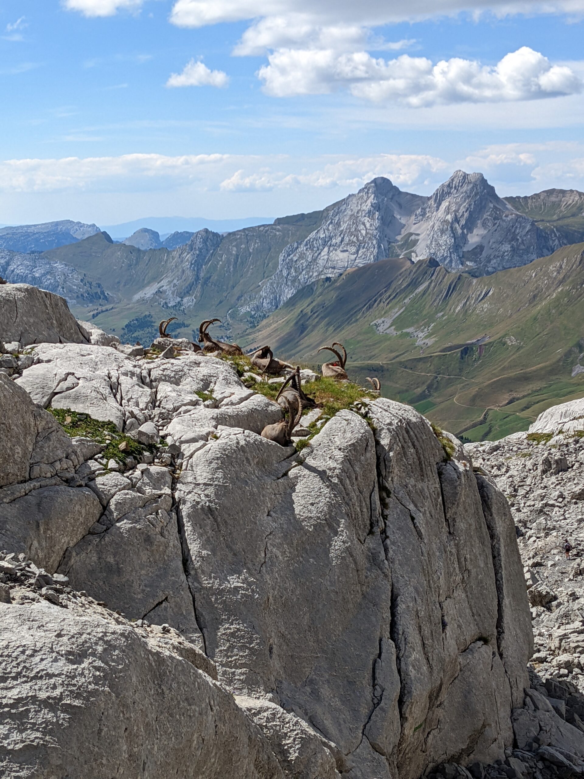 3 jours de randonnée-bivouac dans les Aravis