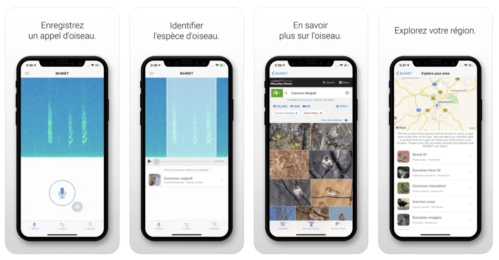 بهترین برنامه های پیاده روی