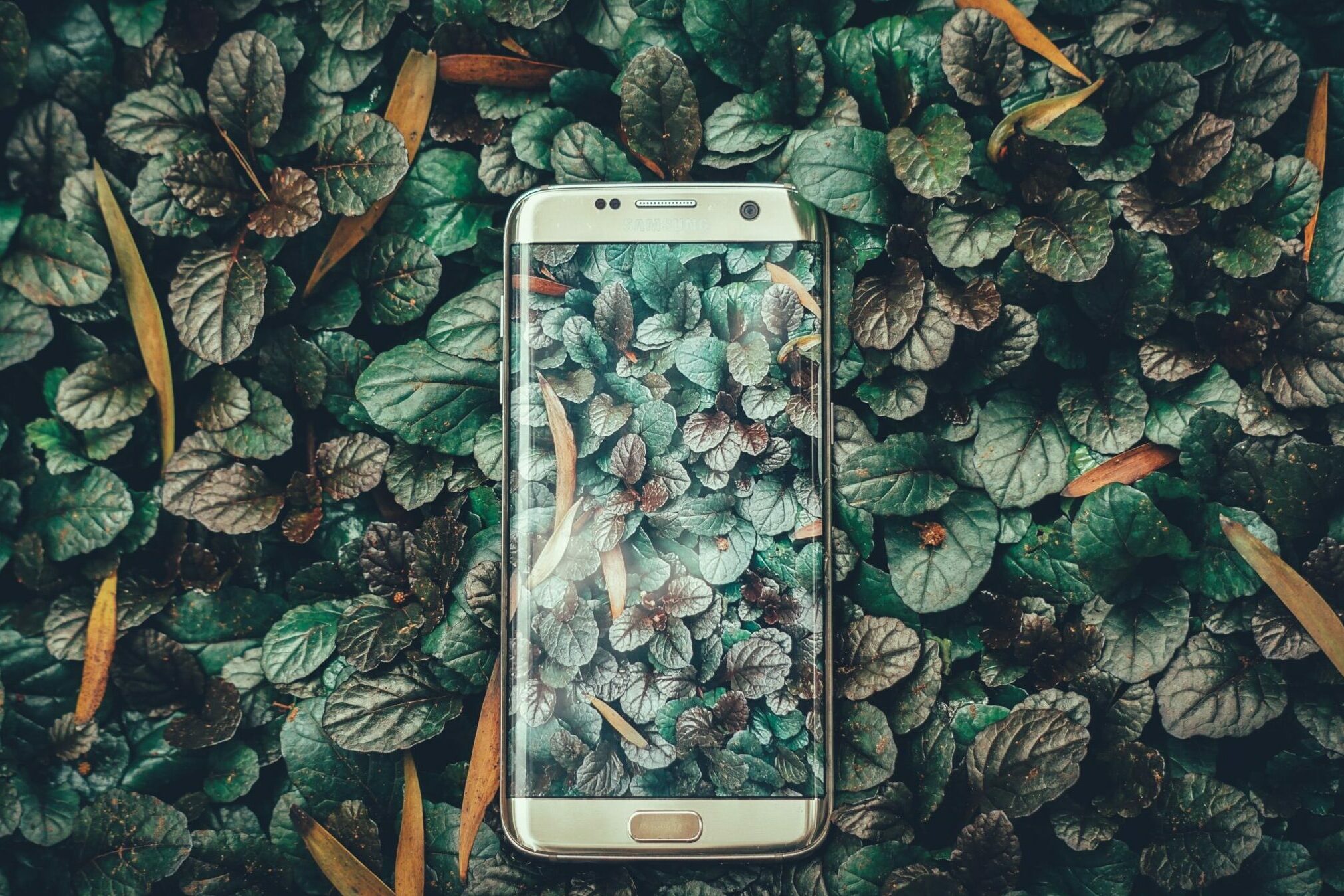 Les meilleures applications de randonnée gratuites