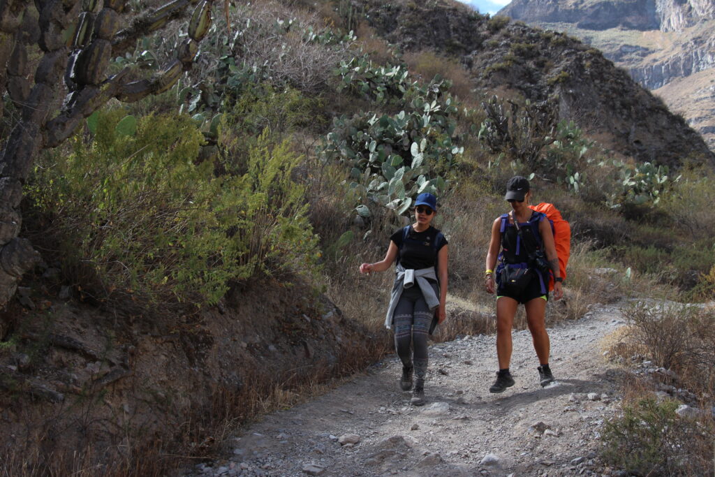 Trek du canyon de Colca en 2 jours : récit, étapes et conseils