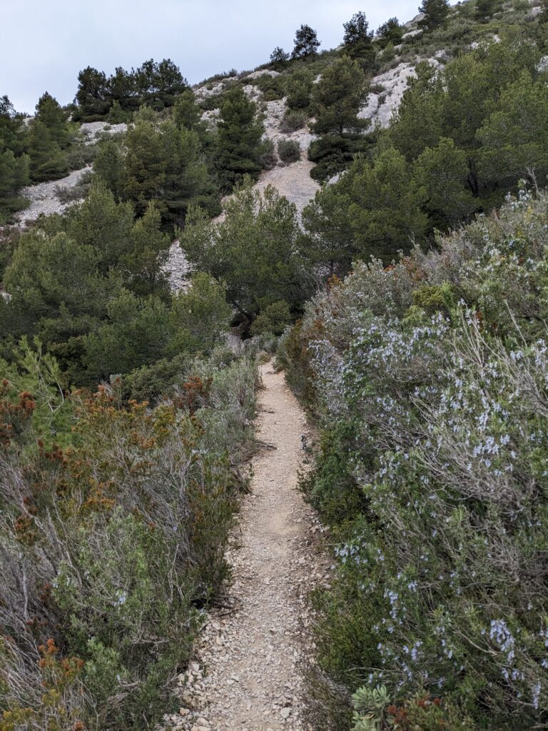 GR 98-51 Calanques Marseille-Cassis en 2 jours