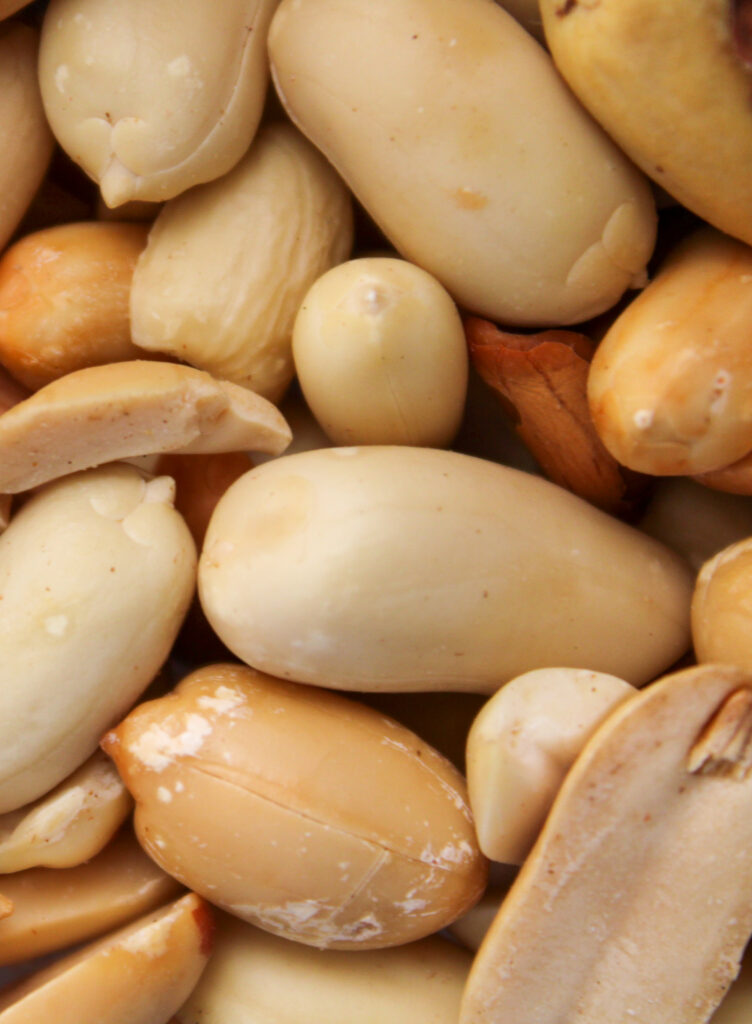 Alimentation en randonnée : que manger et quand ?