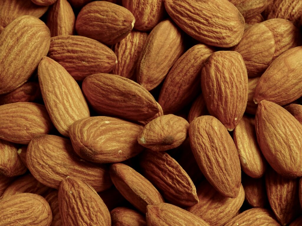 Alimentation en randonnée : que manger et quand ?