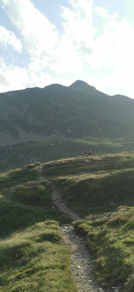 Le Tour des Aiguilles Rouges en 3 jours par la crête de Villy