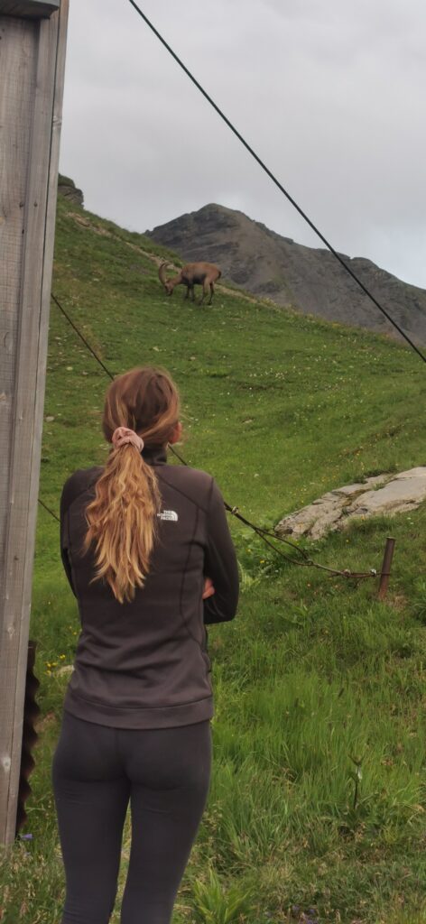 Le Tour des Aiguilles Rouges en 3 jours par la crête de Villy