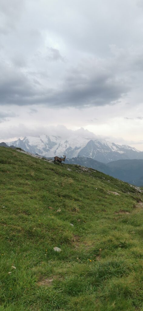 Le Tour des Aiguilles Rouges en 3 jours par la crête de Villy