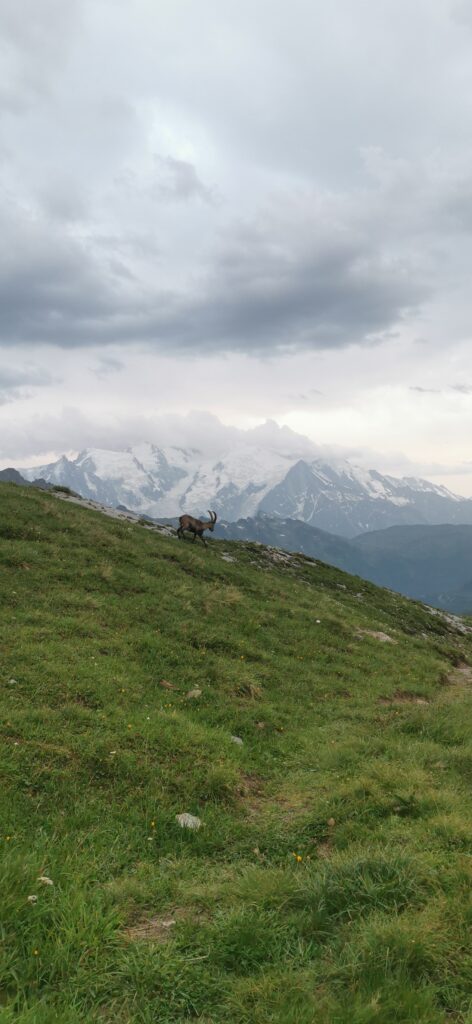 tour des aiguilles rouges eau