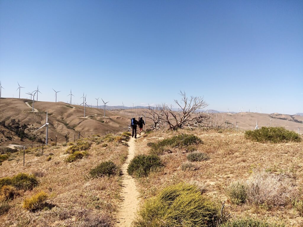 Le PCT Trail (Pacific Crest Trail) : guide et récit