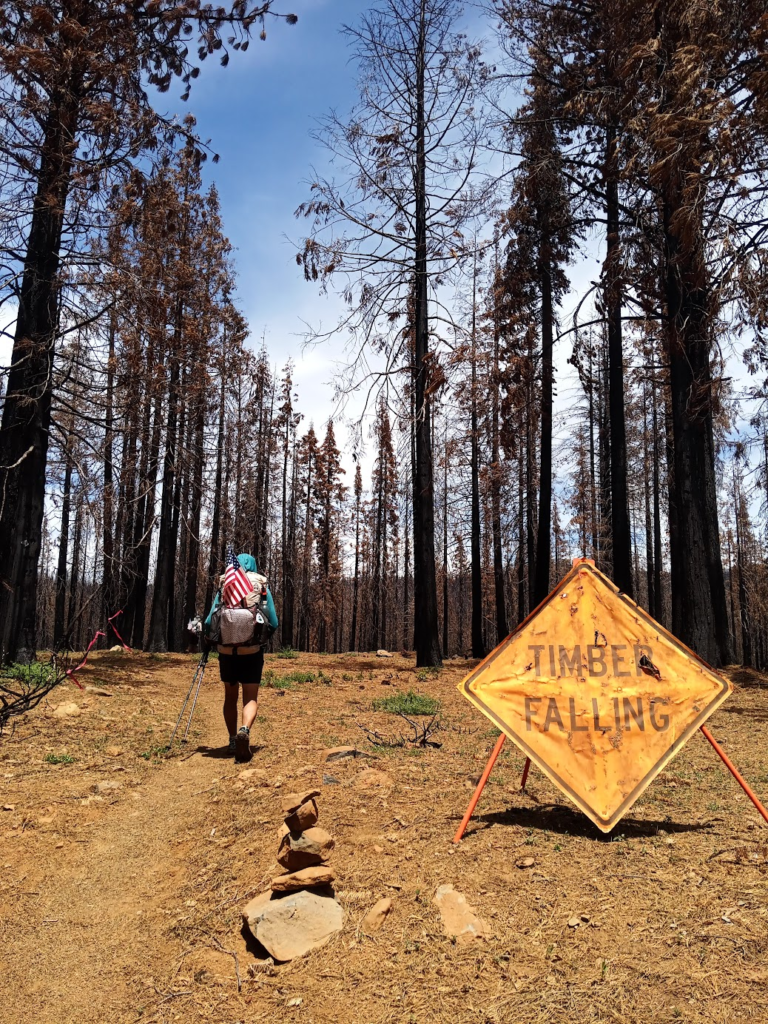 Le PCT Trail (Pacific Crest Trail) : guide et récit