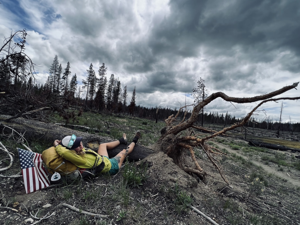 Le PCT Trail (Pacific Crest Trail) : guide et récit