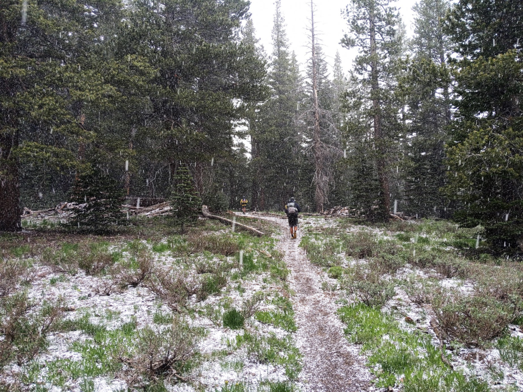 Le PCT Trail (Pacific Crest Trail) : guide et récit