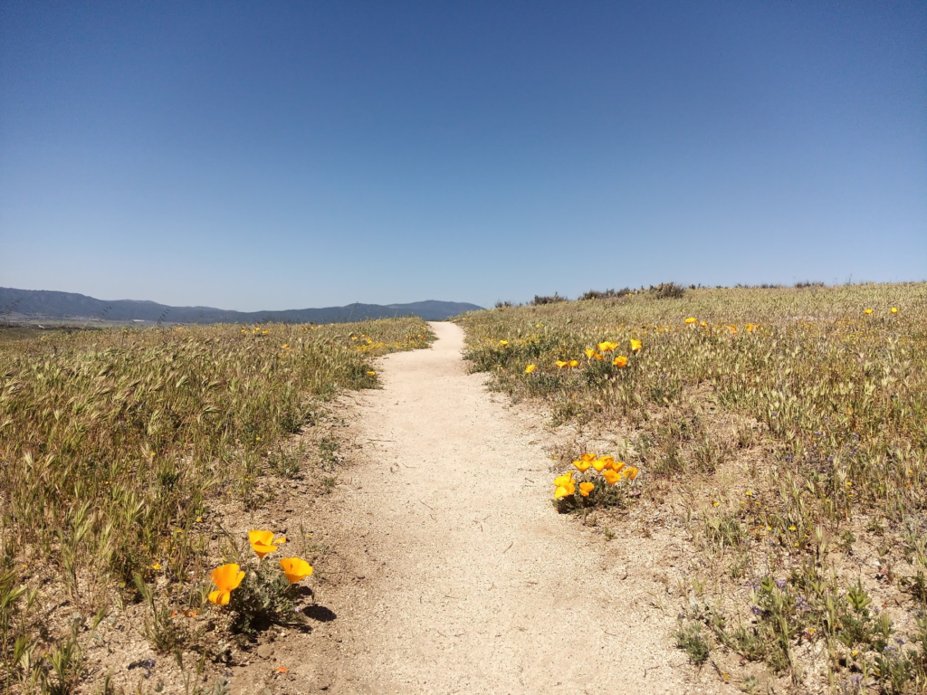Le PCT Trail (Pacific Crest Trail) : guide et récit
