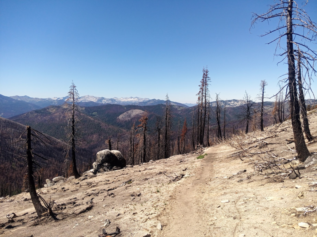 Le PCT Trail (Pacific Crest Trail) : guide et récit