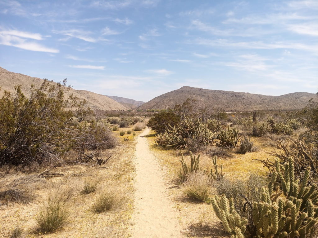 Le PCT Trail (Pacific Crest Trail) : guide et récit