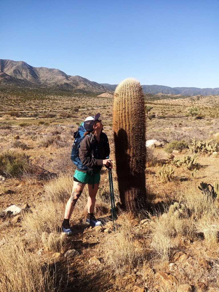Le PCT Trail (Pacific Crest Trail) : guide et récit