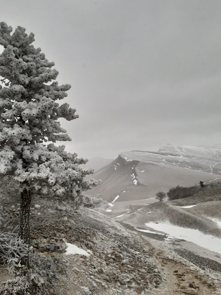 Il neige au col de la Croix