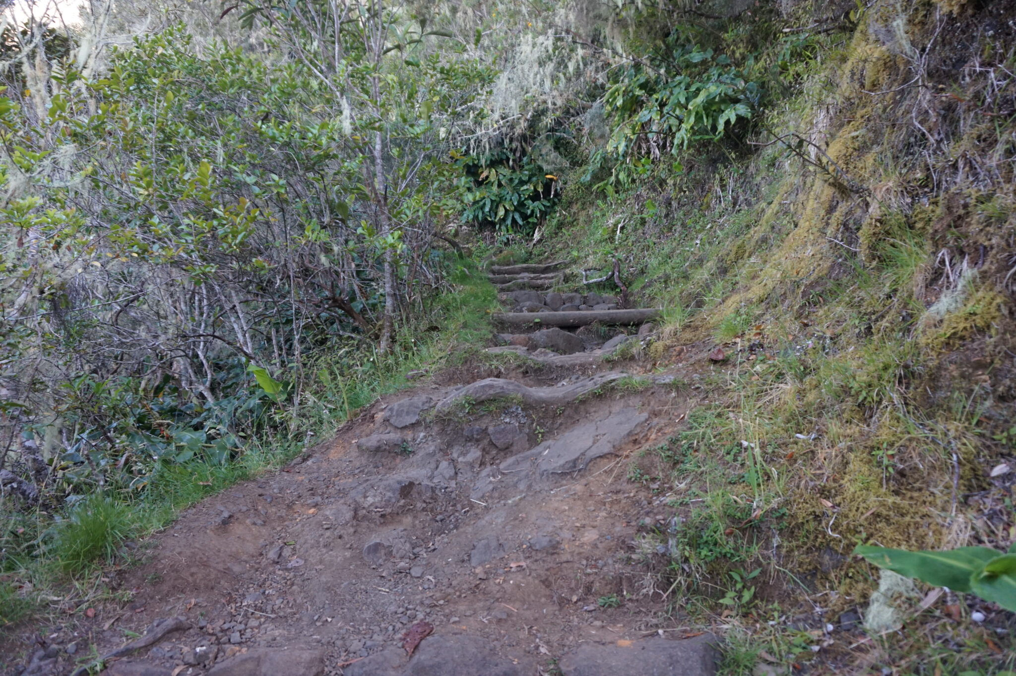 Randonnée au Piton des Neiges depuis Cilaos