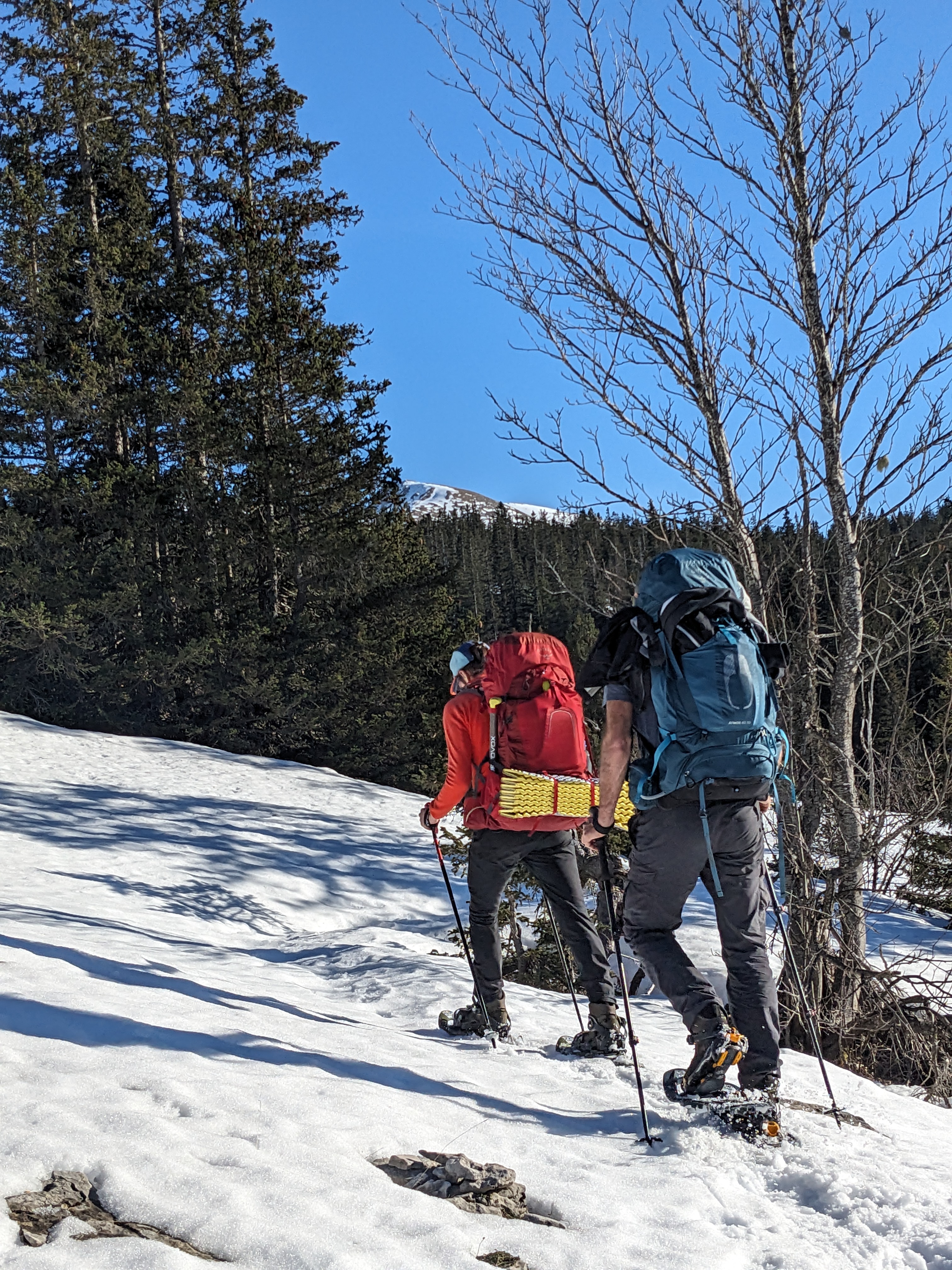 GR® 91 - Traversée du Vercors en raquettes en hiver - 5 jours