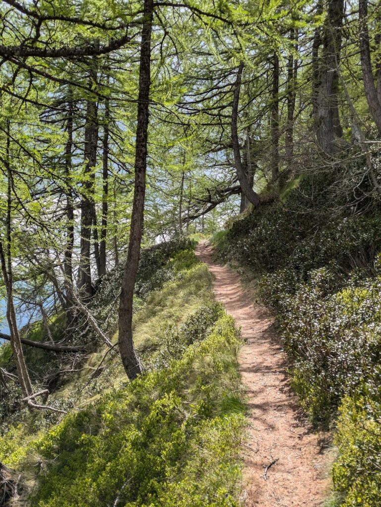 Récit de mes 3 jours sur la Mad Jacques Trek Roya