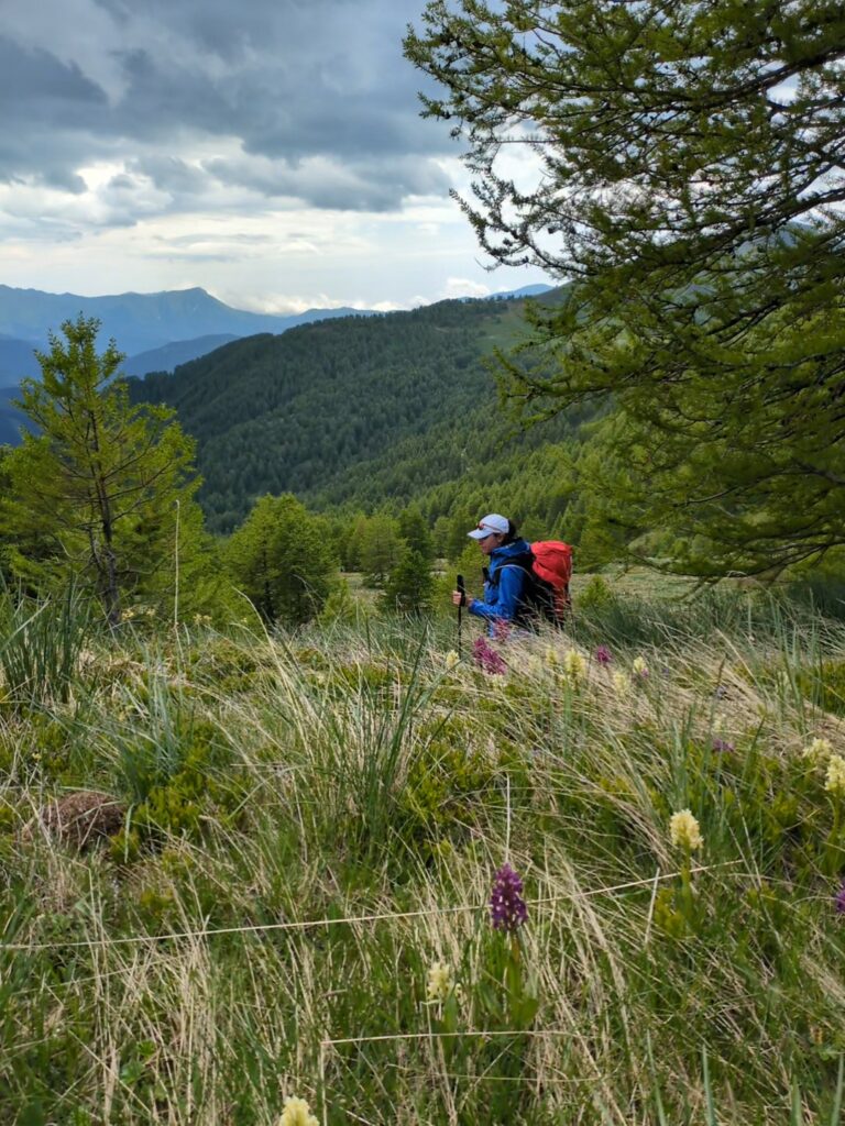 Récit de mes 3 jours sur la Mad Jacques Trek Roya