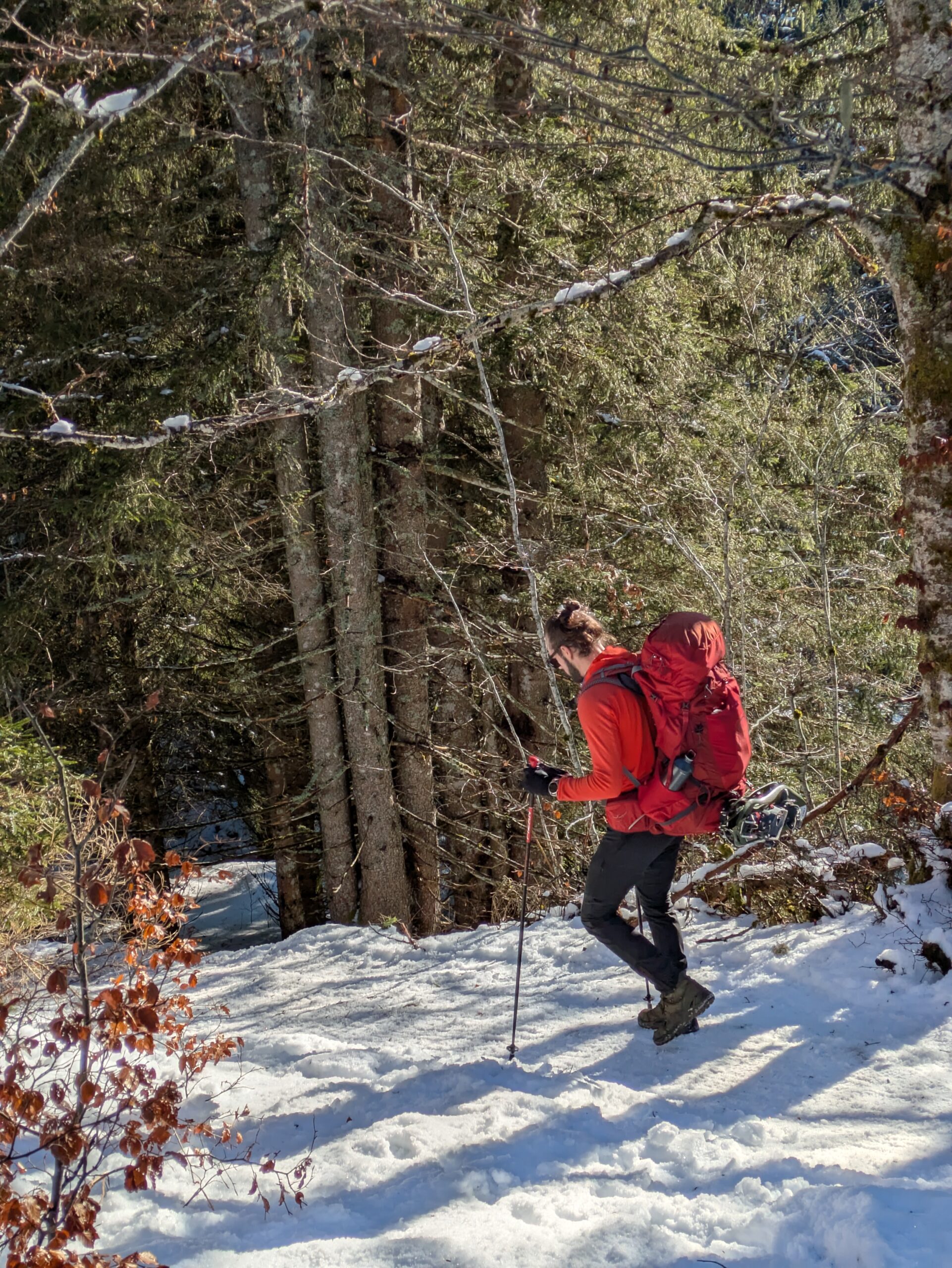 GTJ Grande Traversée du Jura en raquettes : récit, étapes et conseils