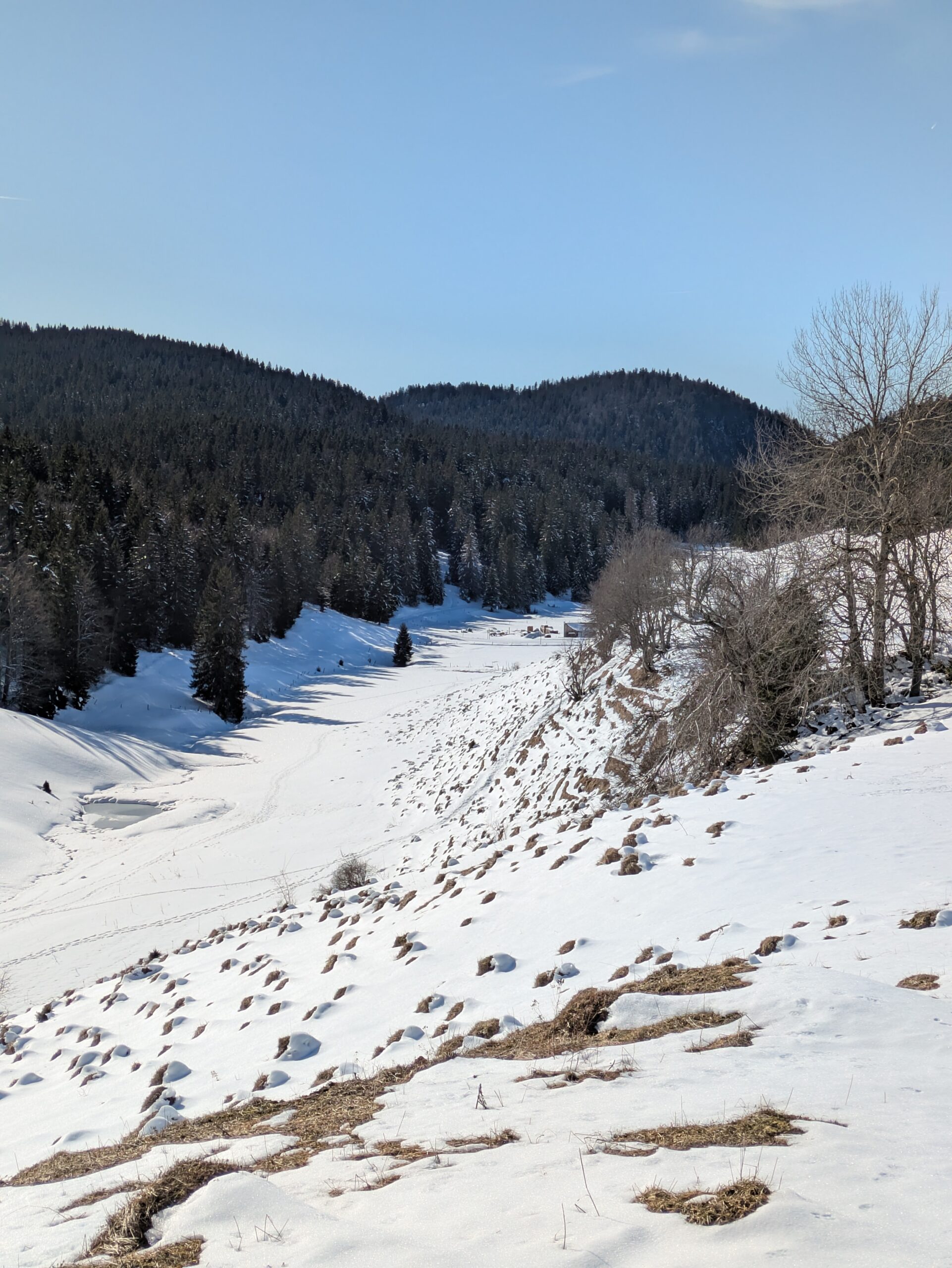 GTJ Grande Traversée du Jura en raquettes : récit, étapes et conseils
