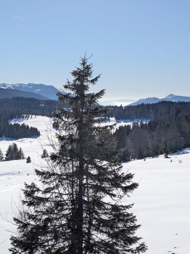 GTJ Grande Traversée du Jura en raquettes : récit, étapes et conseils
