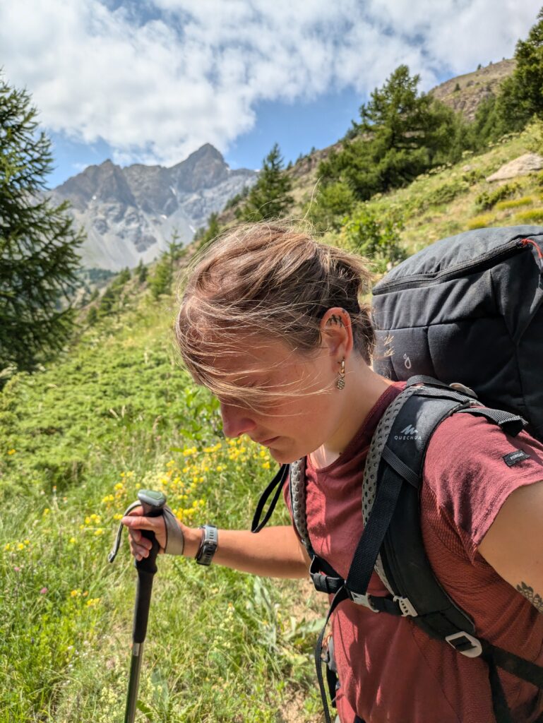 Bâtons de randonnée Forclaz MT500 — Test & avis