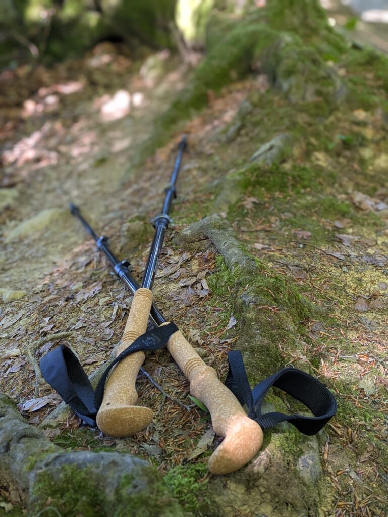 Bâtons Komperdell Carbon Cloud Zero – Test & avis (2025) 