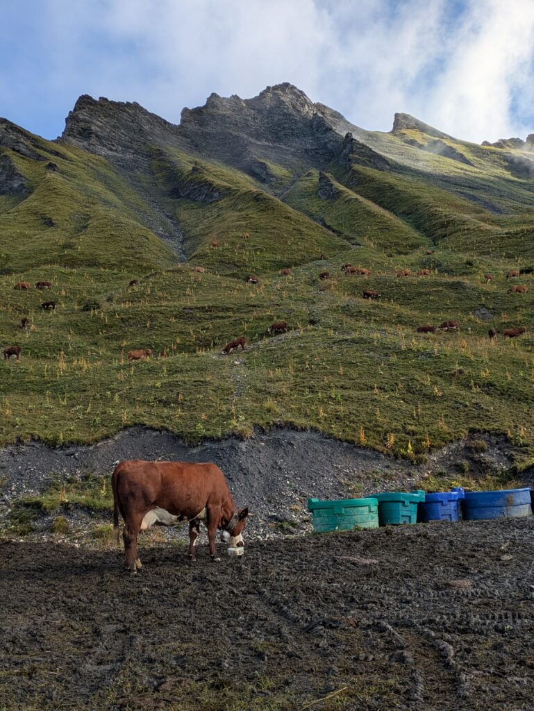 Tour du Beaufortain en 6 jours : étapes, itinéraire et récit
