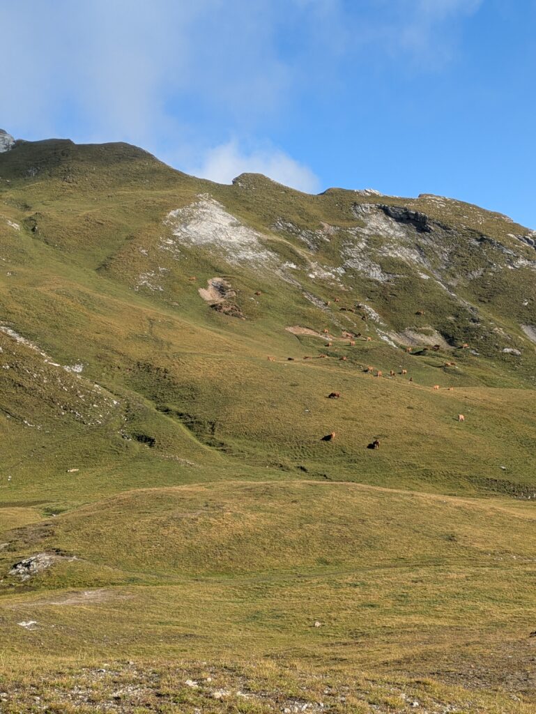 Tour du Beaufortain en 6 jours : étapes, itinéraire et récit