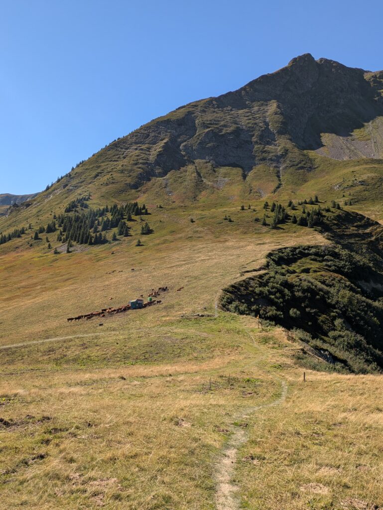 Tour du Beaufortain en 6 jours : étapes, itinéraire et récit
