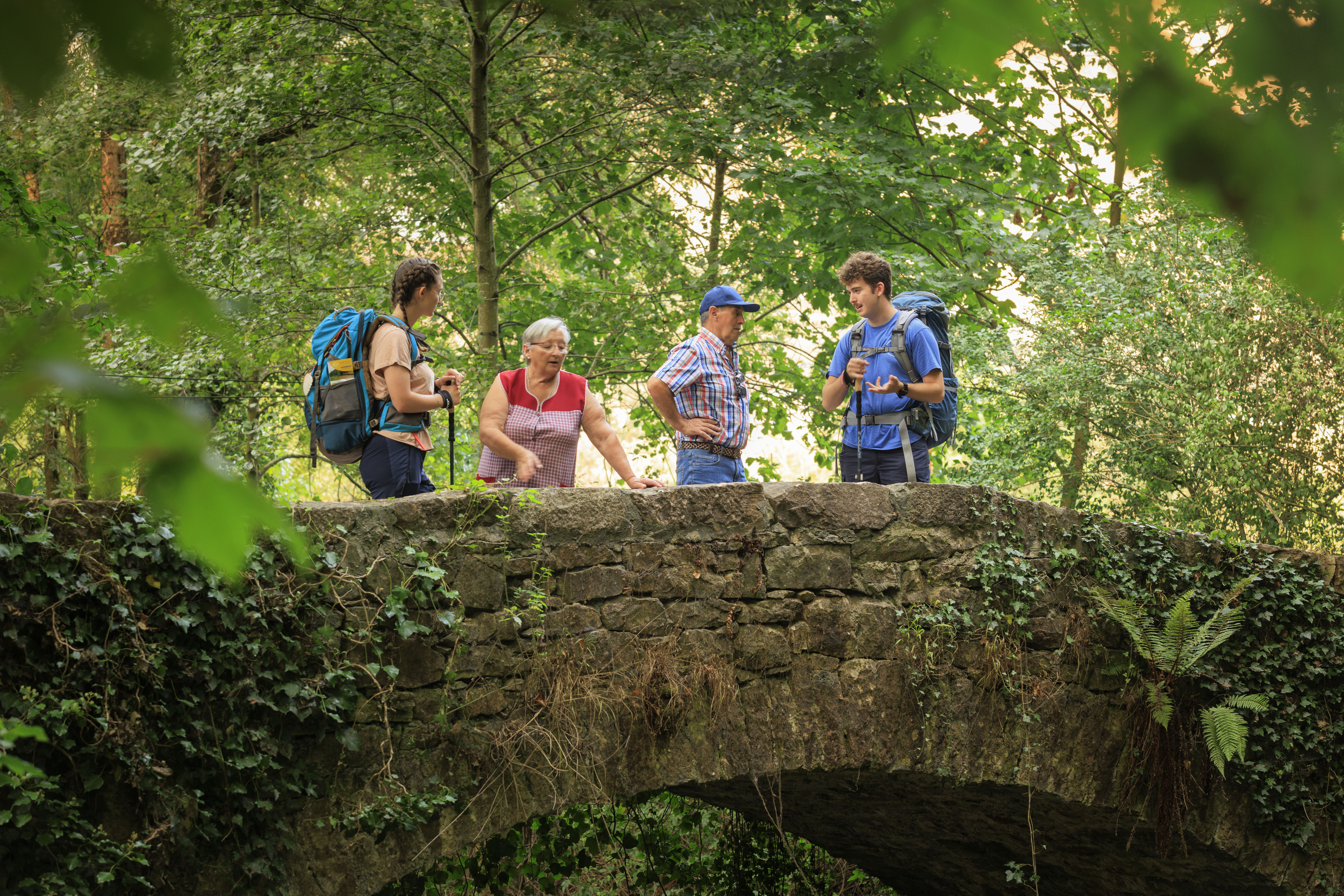 Le Chemin Primitif : aux origines du Chemin de Saint-Jacques